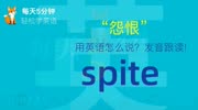 1040.怨恨用英语怎么说?spite发音,零基础学英语,初学者入门!知识名师课堂爱奇艺