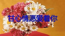 甘心情愿曲谱简单_甘心情愿钢琴曲谱(4)