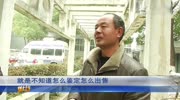 杀年猪,杀出稀罕“猪宝”!8万一克计算,125克能卖1000万?资讯完整版视频在线观看爱奇艺