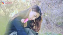 爱过你真的不后悔简谱_不后悔爱过你图片
