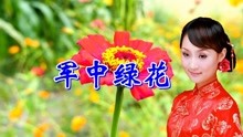 军中绿花的曲谱_军中绿花二胡曲谱