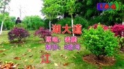 江湖大道  姜鹏音乐背景音乐视频音乐爱奇艺