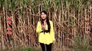 农村姑娘一首《坦坦荡荡活人间》唱得好听又实在音乐背景音乐视频音乐爱奇艺