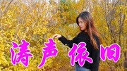 毛宁经典歌曲《涛声依旧》,一开口就听醉了,这个声音给满分!音乐高清MV在线观看–爱奇艺