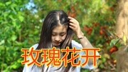 男歌手一首DJ《玫瑰花开》带来爱情的喜悦,好听至极!音乐背景音乐视频音乐爱奇艺