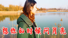 想你时候问月亮歌曲曲谱_想你的时候问月亮曲谱