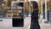 SONY WALKMAN NWZX505到底香不香!?By CKWALKMAN科技高清正版视频在线观看–爱奇艺