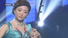 二胡女神于红梅演奏《雁南飞》,唯美动听,令人沉醉!