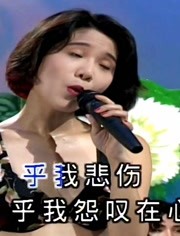 湛蓉十二大美女海底城闽南语歌曲爱情一阵风立体声现场版