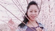 歌曲红楼梦主题曲简谱_红楼梦主题曲简谱(3)