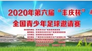 丰庆杯2010年龄组半决赛北海圣泰绿航VS桂林天龙 上半场体育完整版视频在线观看爱奇艺