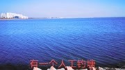 上海奉贤海湾有一片蓝色的海,海鸥飞翔,像洱海又像三亚旅游完整版视频在线观看爱奇艺