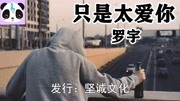 罗宇  只是太爱你,因为我不知道 下一辈子还是否能遇见你 !音乐背景音乐视频音乐爱奇艺