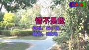 可惜不是我  杨小曼音乐背景音乐视频音乐爱奇艺