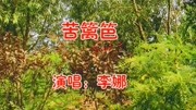 李娜一首《苦篱笆》经典老歌,宛转悠扬,一代人美好的记忆!音乐背景音乐视频音乐爱奇艺