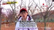 runningman权烈你打我耳光就行了 帮帮哥吧runningman权烈你打我耳光就行了 帮帮哥吧综艺节目完整版视频在线观看爱奇艺