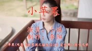 重现怀旧金曲《小苹果》曲调悠扬,每一首都值得珍藏音乐背景音乐视频音乐爱奇艺