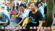 桂柳山歌:风吹大树连根倒,拉到江边渡浮桥音乐背景音乐视频音乐爱奇艺