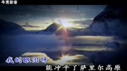 戈壁滩上的一股清泉《冰山上的一朵雪莲》音乐背景音乐视频音乐爱奇艺