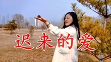 迟来的爱歌曲谱_歌曲迟来的爱图片(3)