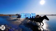 套马杆的汉子威武雄壮,你的心海和大地一样宽广音乐背景音乐视频音乐爱奇艺