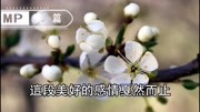 心理学解密婚外情“性的本质”是什么?又刺激,又孤独!生活完整版视频在线观看爱奇艺