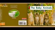 幼儿英语启蒙必读海尼曼双语精讲《GKThe baby animals 1》知识名师课堂爱奇艺