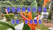 紫雨飘香一首《想你的时候问月亮》深情满满,令人深深陶醉!音乐背景音乐视频音乐爱奇艺