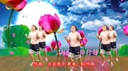 新歌!赵蕾蕾一曲DJ《 莲花亭》一朵莲花两情相悦,三生三世情音乐背景音乐视频音乐爱奇艺