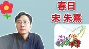 《春日》朱熹:看完,你就能背诵这首诗,有趣又快速,还不试试?知识名师课堂爱奇艺