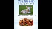 闪记单词lamb羔羊知识名师课堂爱奇艺