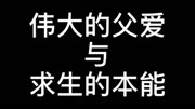 动物 小鸭子生活完整版视频在线观看爱奇艺