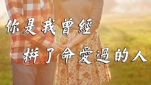 你曾经是我拼命爱过的人口琴曲_你是我曾经拼命爱的人