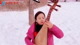 美女琵琶弹奏雪山飞狐主题曲《追梦人》，很有韵味，好听极了