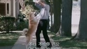 忠犬八公:每次看都情不自禁的流泪电影完整版视频在线观看爱奇艺