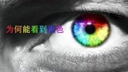 我们为什么能看到颜色?RGB CMYK又是什么?【爱来教程】知识名师课堂爱奇艺