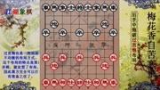 中国象棋布局破解:后手中跑破过宫炮,以后再也不怕过宫炮了体育完整版视频在线观看爱奇艺