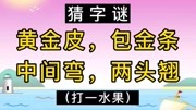 猜字谜:黄金皮,包金条,中间弯,两头翘(打一水果)!生活完整版视频在线观看爱奇艺