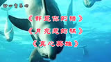 《都是你的错》《月亮惹的祸》《真心英雄》