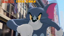为娱App-《猫和老鼠》大电影定档2月26日