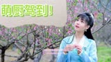 #花间提壶方大厨#萌妹子初遇恶霸老公！#