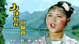 电影《刘三姐》选曲《山顶有花山脚香》，原汁原味，经典再现！