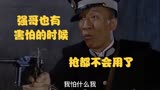 强哥被人指点，从一个小混混成为上海的王！刀锋1937
