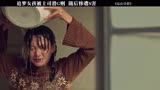《远山淡影》