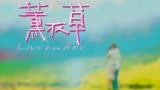 台湾偶像剧薰衣草片头曲《花香》和片尾曲《幸福的瞬间》