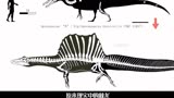 侏罗纪公园3中的战神棘龙，究竟是如何沦为”渔夫“的？