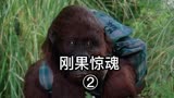 《刚果惊魂》2会说话的大猩猩回归雨林，钻石探险队遭遇丛林虐杀