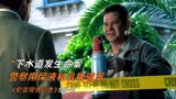 下水道发生命案，警察用尿液和乳猪破案《犯罪现场调查》