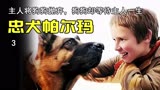 主人狠心将忠犬抛弃，而忠犬却等待了主人一生！《忠犬帕尔玛》