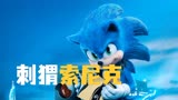 一只乌龟能跑0.01码 而一只刺猬居然能跑300码《刺猬索尼克》